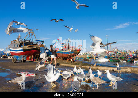 Stormi di gabbiani sorvolano Essaouira porto di pescatori, Marocco. La pesca in barca ormeggiata al porto di Essaouira attende per una riparazione completa con un gancio in barca Foto Stock