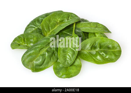 Spinaci in foglie isolati su sfondo bianco Foto Stock