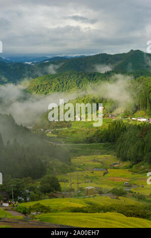 Giapponese paesaggio rurale di risaie in alta montagna di Yotsuya con patch di nebbia, cloud e del sole sulla terra. Yotsuya no Semmaida, Aichi Foto Stock