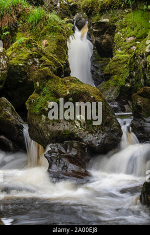 Masterizzazione Cordorcan cascate in legno della Cree Riserva Naturale, Newton Stewart, Dumfries and Galloway, Scozia Foto Stock