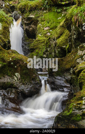 Masterizzazione Cordorcan cascate in legno della Cree Riserva Naturale, Newton Stewart, Dumfries and Galloway, Scozia Foto Stock