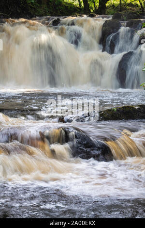 Covenanters cascata, Santo Linn, Garple masterizzare, vicino a St Johns Town di Dalry, Dumfries & Galloway, Scozia Foto Stock