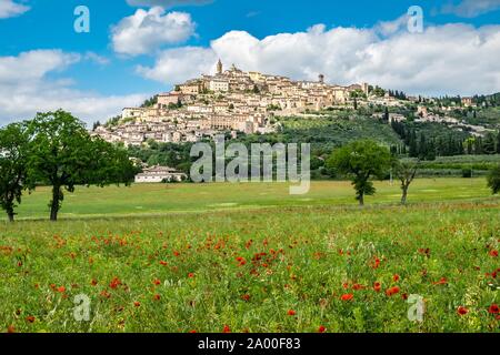 Il papavero prato davanti di una collina con vista sulla città, Trevi, provincia Perugia, Umbria, Italia Foto Stock
