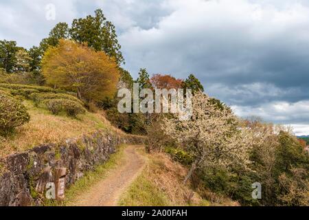 Pellegrinaggio Kumano Kodo, Wakayama, Giappone Foto Stock