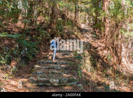 Escursionista sul sassoso sentiero attraverso la foresta, cammino di pellegrino Kumano Kodo, Nachisan, Wakayama, Giappone Foto Stock