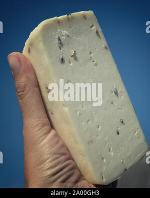 Formaggio artigianale da mucche e capre latte. Testa di formaggio. Messa a fuoco selettiva Foto Stock
