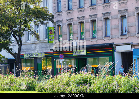 Vienna, Austria - 12 Settembre 2019: Hanf Hanf e negozio di Vienna che vende piante di canapa e di crescente accessori. Foto Stock