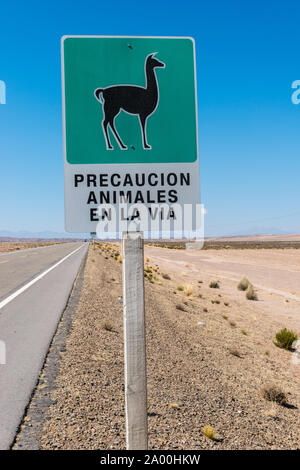 Cartello stradale, animali su strada, Altiplano, 3000m e più sopra il livello del mare, a nord di Uyuni, distretto di Potosí, Bolivia, America Latina Foto Stock