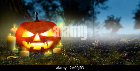 Jack o lanterne incandescente di zucca con candele nella notte spooky forest - Banner. Halloween sfondo della scena. Copyspace per il testo. Foto Stock