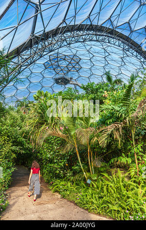 Il Rainforest Biome nel progetto Eden, Cornwall. Foto Stock