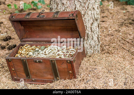 Tesoro nel bosco a terra vicino ad un albero Foto Stock