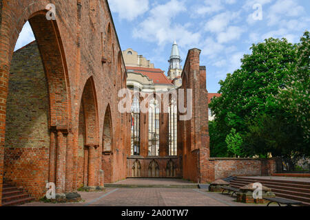 Ruine, Franziskaner-Klosterkirche, Klosterstrasse, nel quartiere Mitte di Berlino, Deutschland Foto Stock