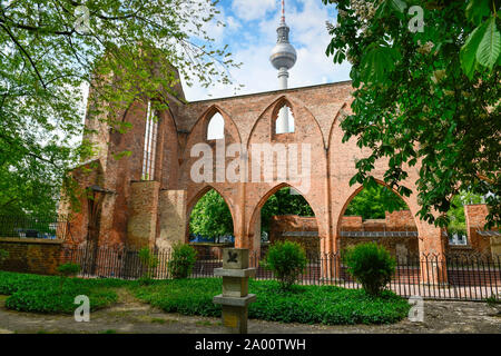 Ruine, Franziskaner-Klosterkirche, Klosterstrasse, nel quartiere Mitte di Berlino, Deutschland Foto Stock