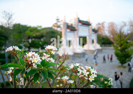 Kaohsiung, Taiwan: cancello di ingresso al Santuario dei Martiri di Kaohsiung a Shou Shan (Monkey mountain) con fiori di colore bianco nella parte anteriore Foto Stock