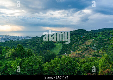 Giappone rurale paesaggio. Paesaggio di campagna di aziende sul pendio della collina con raccolto. Giappone Foto Stock