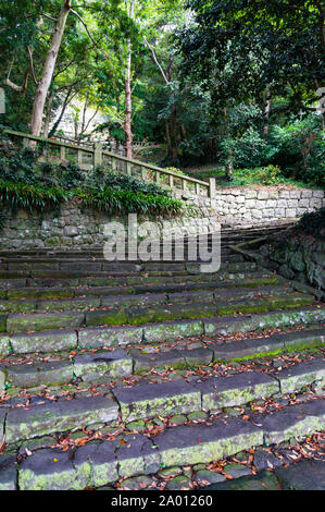 Scale per Kunozan Tosho-gu il Sacrario. Scala di migliaia di scale che portano al sacrario scintoista alla sommità del monte Kuno Foto Stock