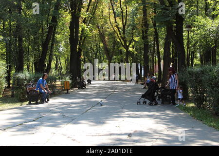 Immagini dal lago Herastrau Foto Stock