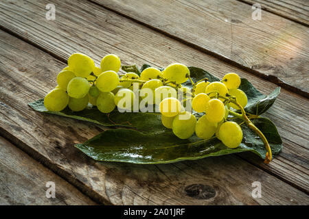 Grappolo di uva bianca con gocce d'acqua Foto Stock
