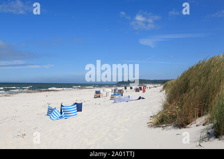 Vitte spiaggia , isola di Hiddensee, Mar Baltico, Meclemburgo-Pomerania, Germania, Europa Foto Stock