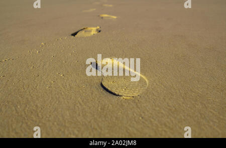 Surfer foot print in sabbia bagnata Foto Stock