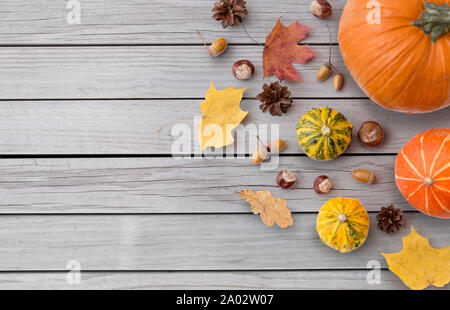Foglie di autunno, castagne, ghiande e zucche Foto Stock