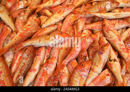 Le triglie in vendita in un siciliano mercato del pesce Foto Stock