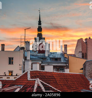 Tetti nella città vecchia di Tallinn, tramonto sullo sfondo Foto Stock