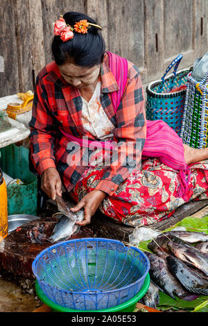 Un locale donna birmano Scaling pesce fresco nel mercato Mingalar, Nyaung Shwe, Lago Inle, Stato Shan, Myanmar. Foto Stock