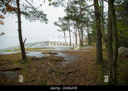 Serena caduta scandinavo paesaggio della Finlandia meridionale, Espoo nel nebbioso giorno. Colori d'autunno foresta riflettendo in mare calmo acqua. Caduta foglie Foto Stock