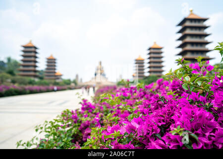 Kaohsiung, Taiwan: colore Magenta buganvillee con 5 pagode cinesi e la grande statua del Buddha in background. A Fo Guang Shan Museo di Buddha Foto Stock