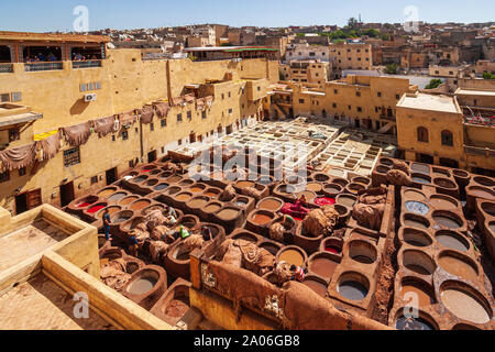 La Conceria Chouara è uno dei tre concerie nella città di Fez, in Marocco. Costruito nel XI secolo, è il più grande conceria nella città. Foto Stock