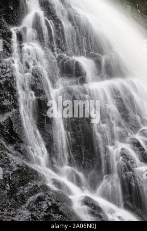 Cascate in legno della Cree Riserva Naturale, Newton Stewart, Dumfries and Galloway, Scozia Foto Stock