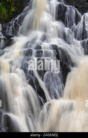 Cascate in legno della Cree Riserva Naturale, Newton Stewart, Dumfries and Galloway, Scozia Foto Stock