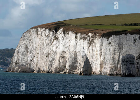 Studland, Dorset, Inghilterra, Regno Unito. Settembre 2019. Bianco gesso scogliere dell'isola di Purbeck vista dal mare. Ballard verso il basso e il SW Sentiero costiero Foto Stock