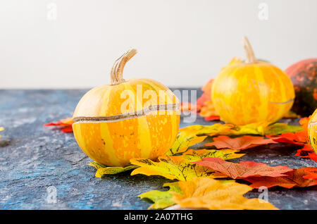 Mini decorativo materie zucche con la caduta di foglie essiccate su calcestruzzo scuro sfondo, autunno del concetto di spazio di copia Foto Stock