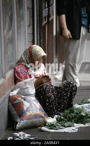 Il 31 maggio 1993 durante l'assedio di Sarajevo: una vecchia signora vende le foglie di vite sul marciapiede opposto alla Pijaca Markale (mercato) sulla mula Mustafe Baseskije nel centro della citta'. Foto Stock