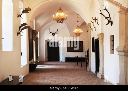 CASTA, Slovacchia - 31 agosto 2019: interno del borgo medievale di Cerveny Kamen (rosso) Stown Castello. Hall con decorazione di corna animali sulle pareti Foto Stock