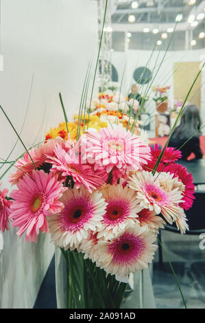 Bel bouquet di gerbere rosa e bianco bicolore all'interno in un vaso di vetro. Primo piano. Regalo di festa Foto Stock