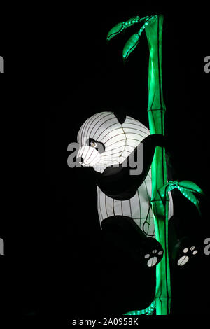 Cinese tradizionale lanterna a forma di panda in bambù Foto Stock