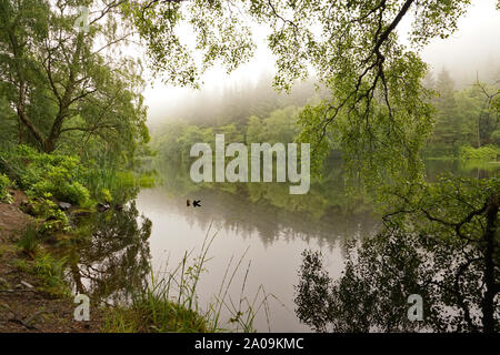 Misty Glencoe Lochan sentieri a piedi in Scozia, Highlands scozzesi Foto Stock