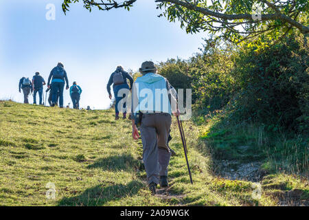 Gruppo di escursionisti che camminano in una delle zone più grandi dell'antico terreno di gesso su Harting Down, una rinomata riserva naturale nel West Sussex, Inghilterra, Regno Unito Foto Stock