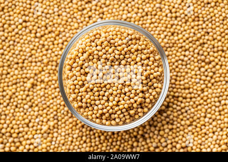 Il giallo di semi di senape nel recipiente. Vista dall'alto. Foto Stock