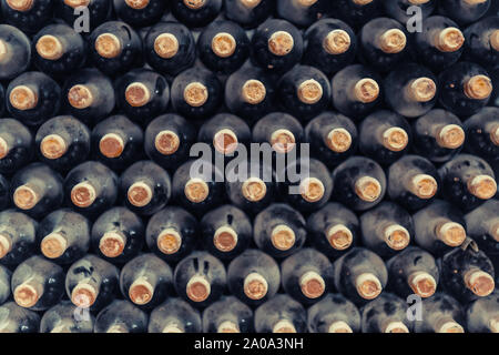 Vecchie bottiglie di vino immagazzinato Foto Stock