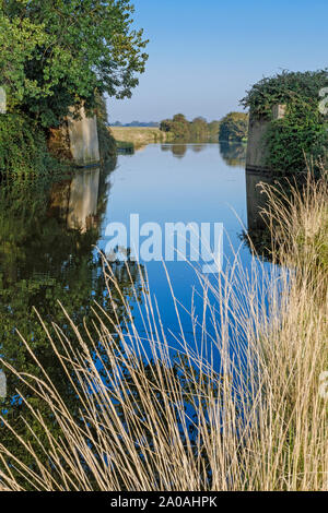 Vista lungo il vecchio West River (Fiume Great Ouse) presso il sito del ponte di Piana, vicino Aldreth, Cambridgeshire, Inghilterra Foto Stock