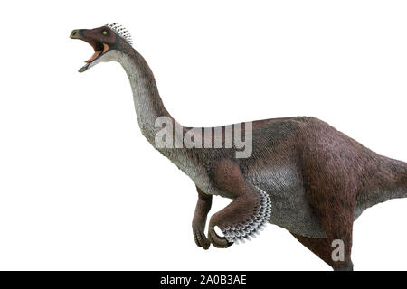 Gallimimus isolati su sfondo bianco. Gallimimus era un dinosauro erbivoro che era in grado di correre molto velocemente Foto Stock
