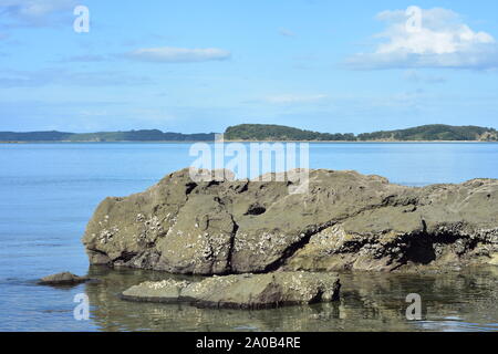 Rocce costiere parzialmente coperto con conchiglie di mare in condizioni di alta marea esposti nel porto di calma con la bassa marea. Foto Stock