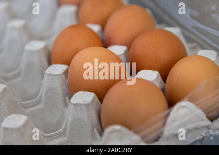 Close up di marrone le uova di gallina in una scatola di cartone Foto Stock