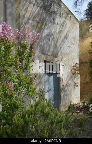 Vigneto Agriturismo, un agricolo luogo di vacanza in Sicilia, Italia Foto Stock