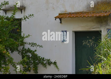 Vigneto Agriturismo, un agricolo luogo di vacanza in Sicilia, Italia Foto Stock