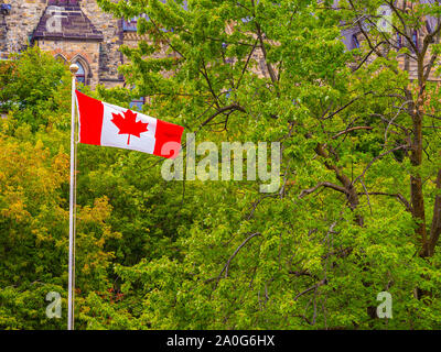 Una bandiera canadese soffia il vento alla fine della stagione estiva, in piedi contro gli alberi che stanno cominciando a cambiare per l'autunno. Foto Stock